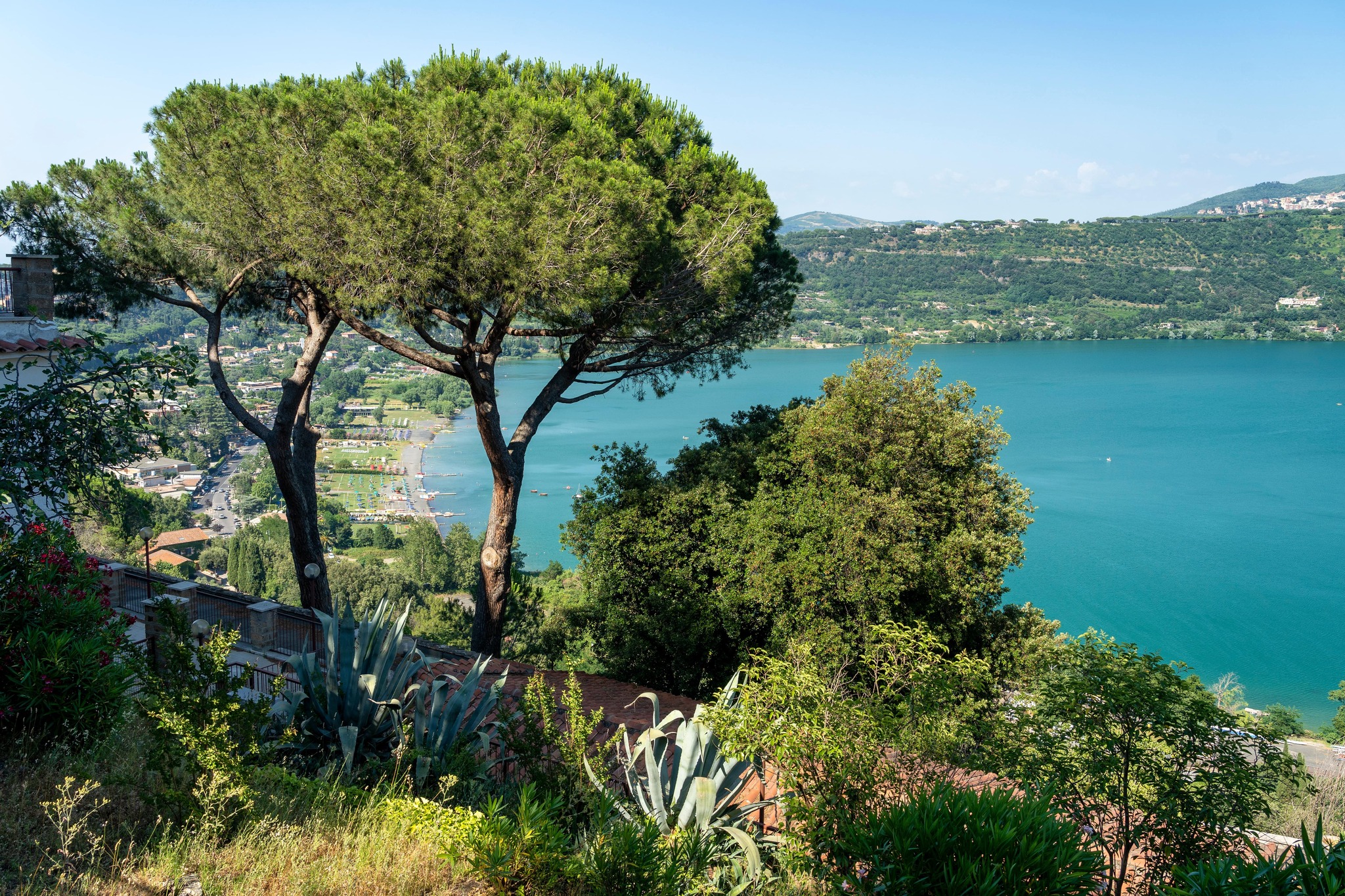 Sentiero panoramico immerso nel verde lungo le rive del Lago Albano