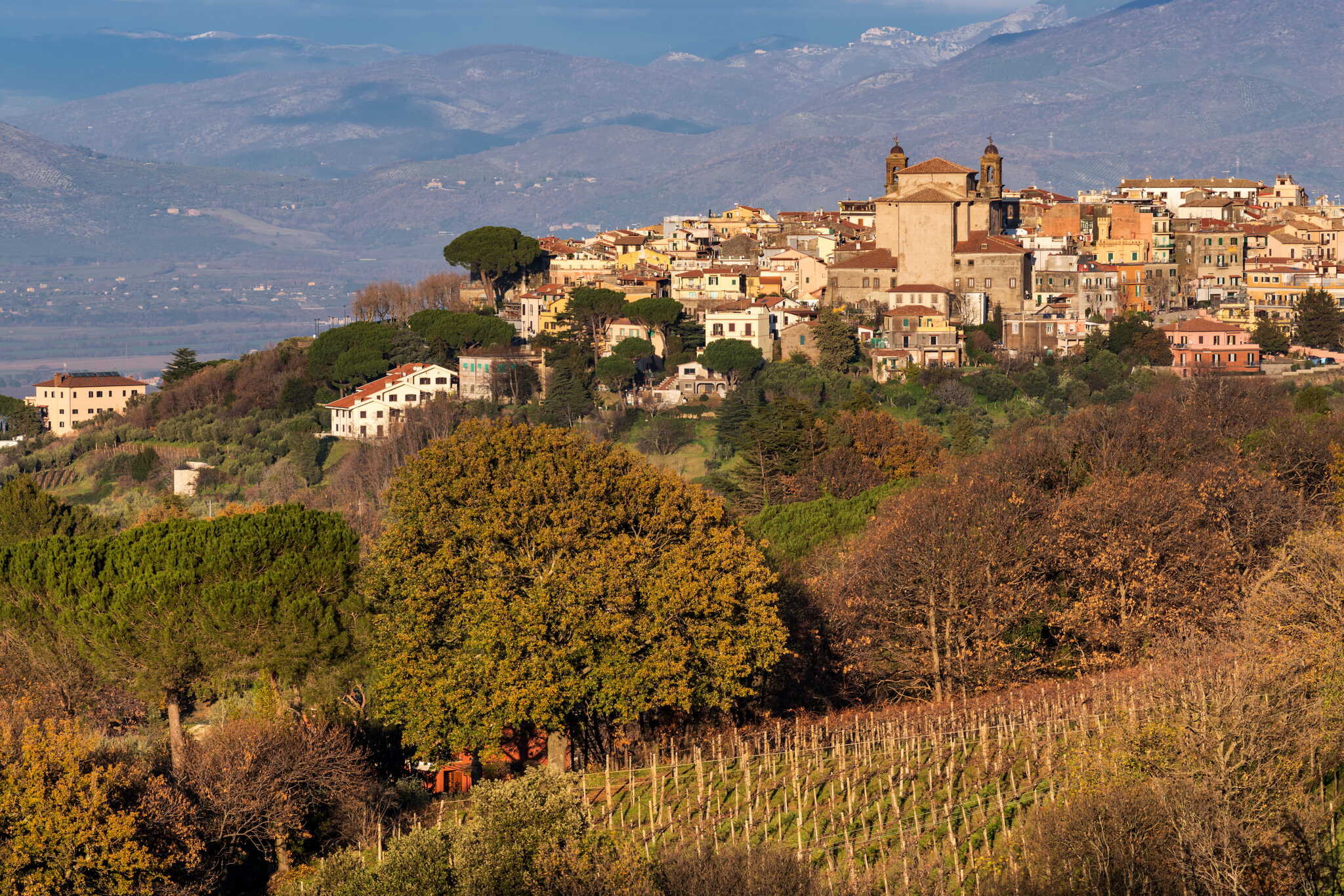 Heuvels en wijngaarden in de Castelli Romani regio Lazio