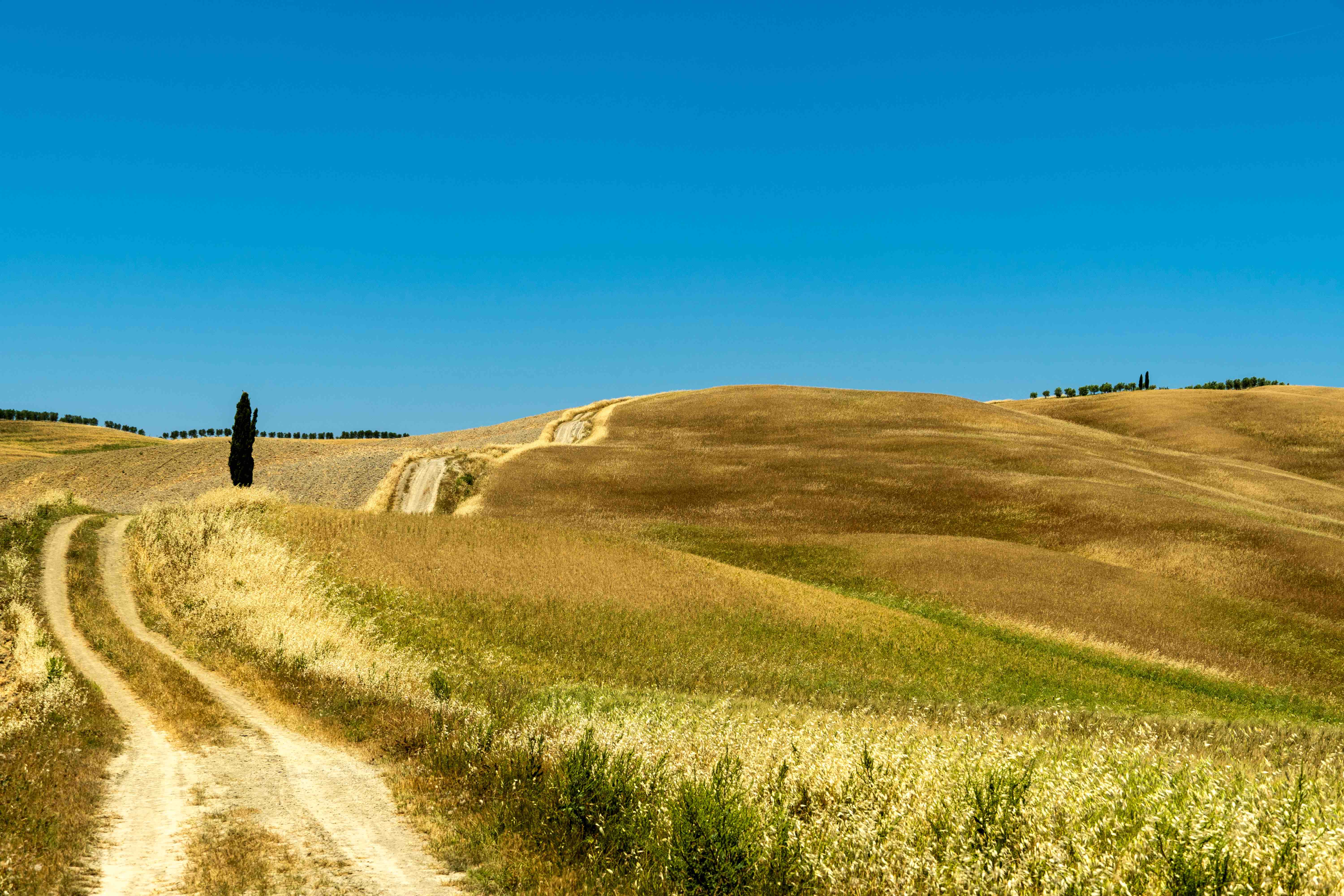 Eroica Montalcino con ciclisti in partenza tra i vigneti di Brunello