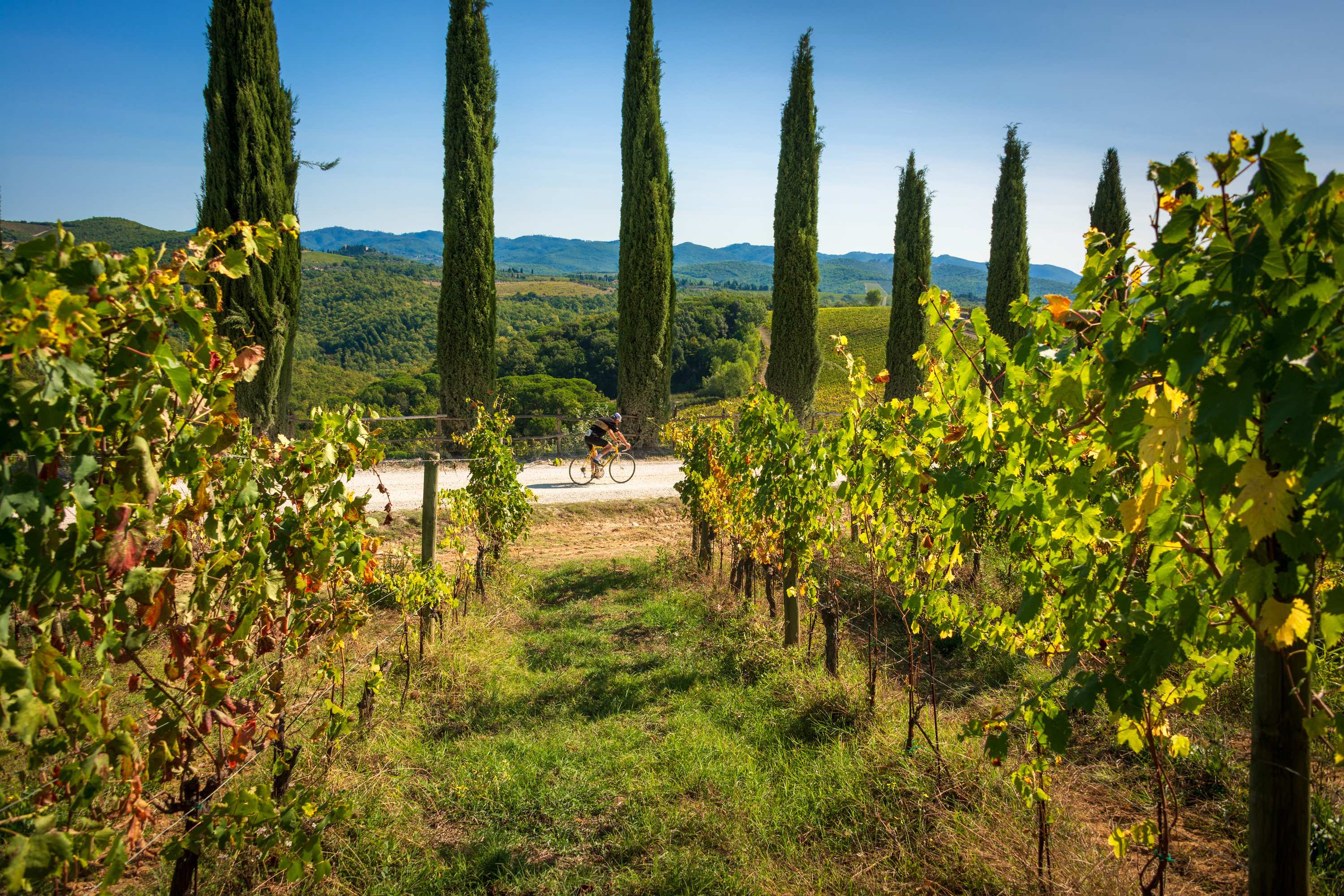 Ciclisti su percorsi permanenti Terra Eroica nel Chianti