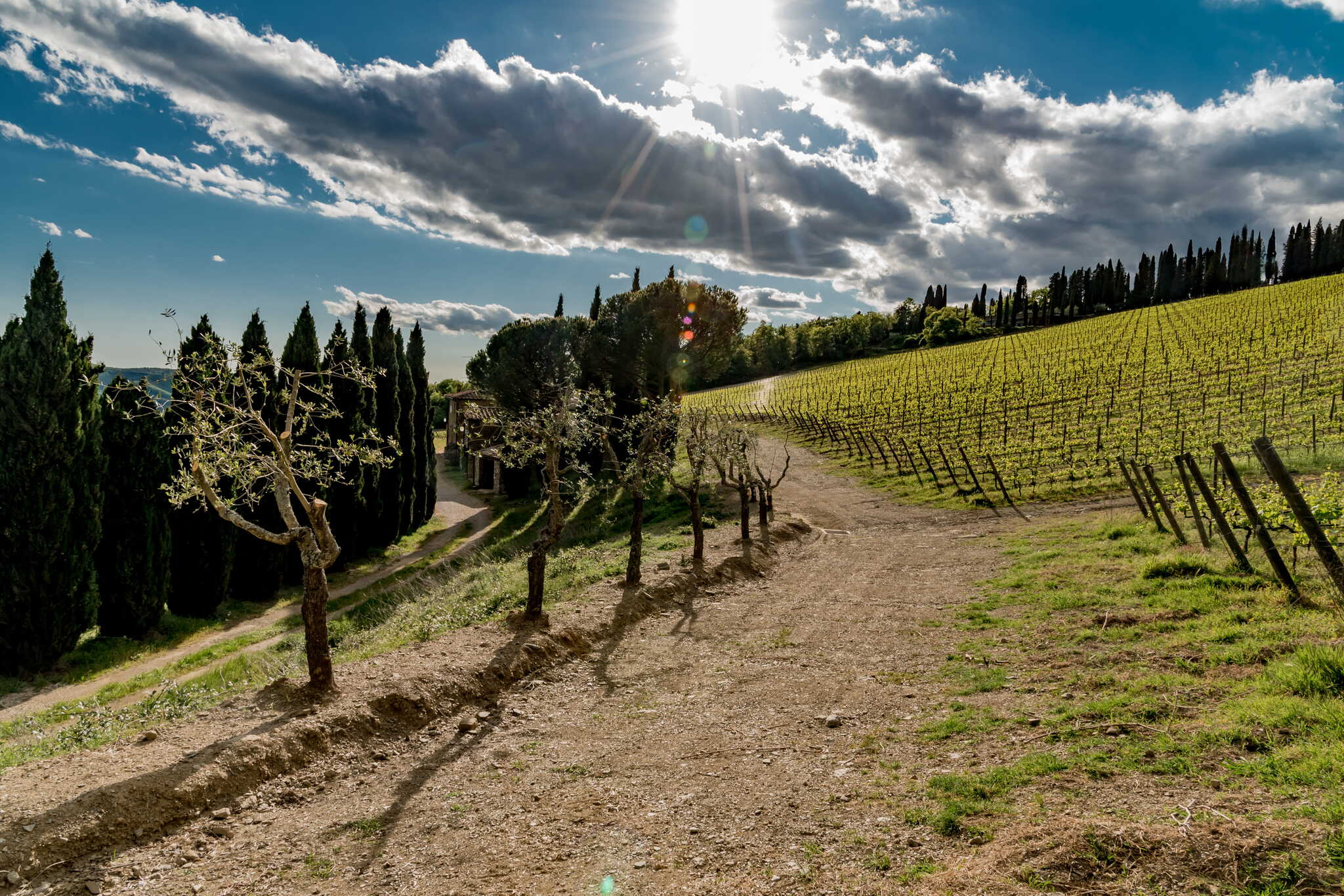 Chianti wijnroute Strada del Vino