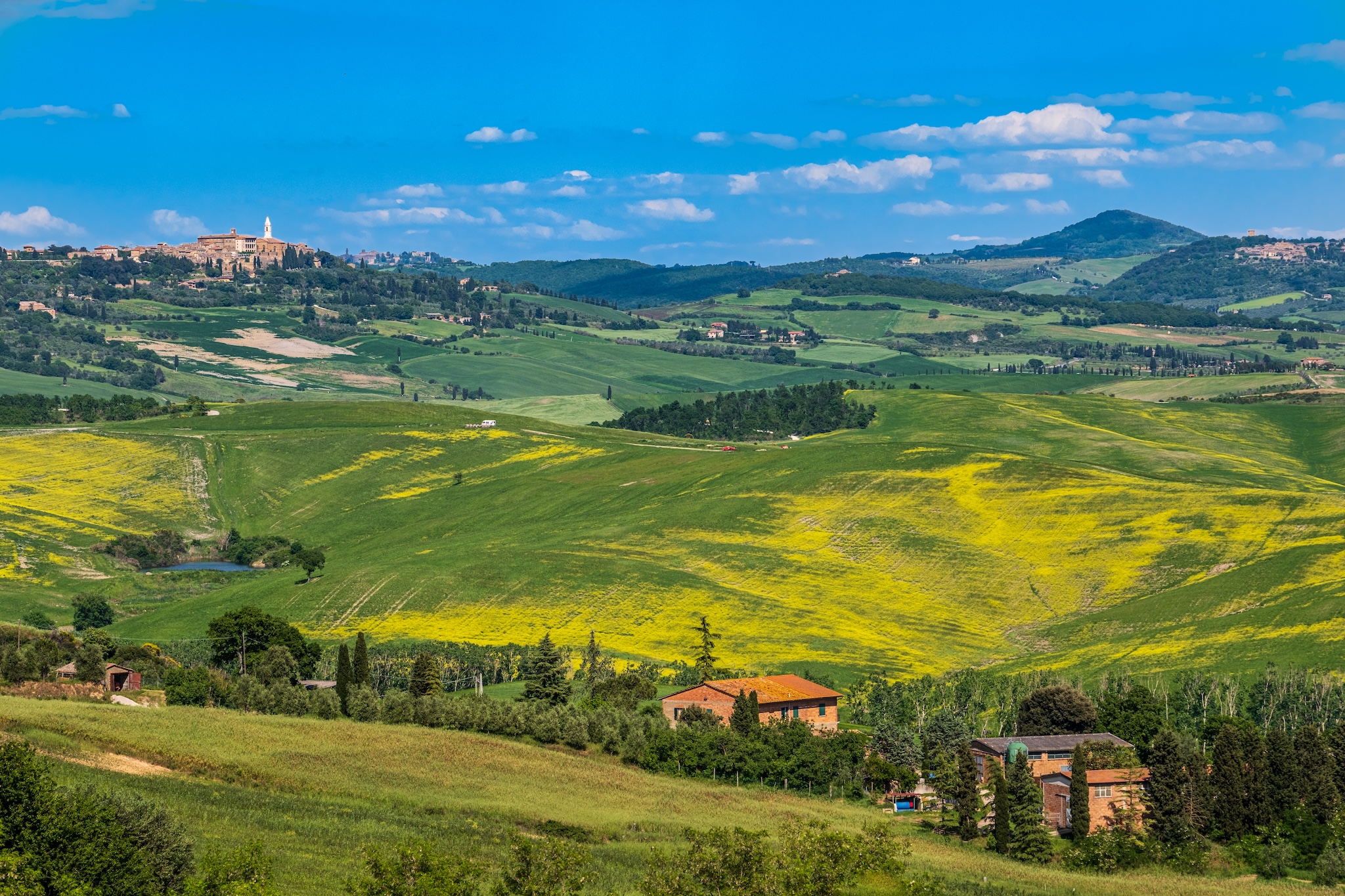 Crete Senesi in primavera con campi verdi e fiori di colza