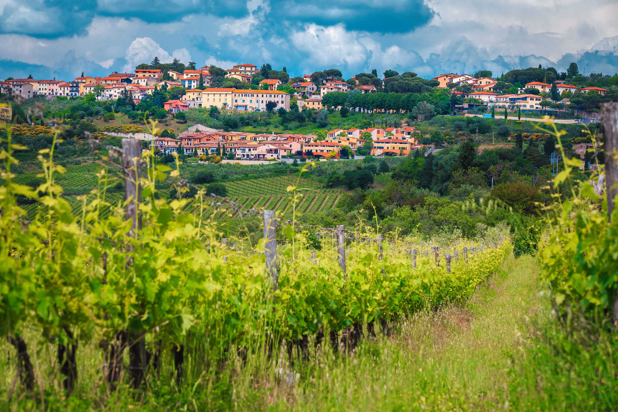 Panzano in Chianti panorama Conca d'Oro Chianti