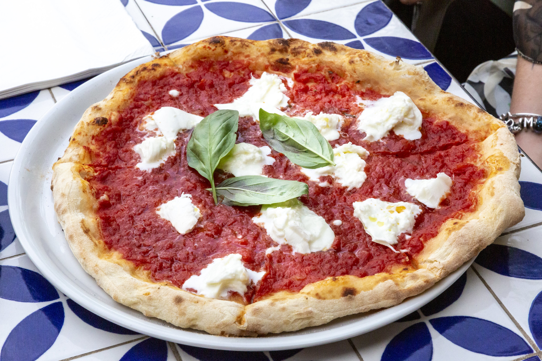 pizza_ngv.jpg_pl _pl