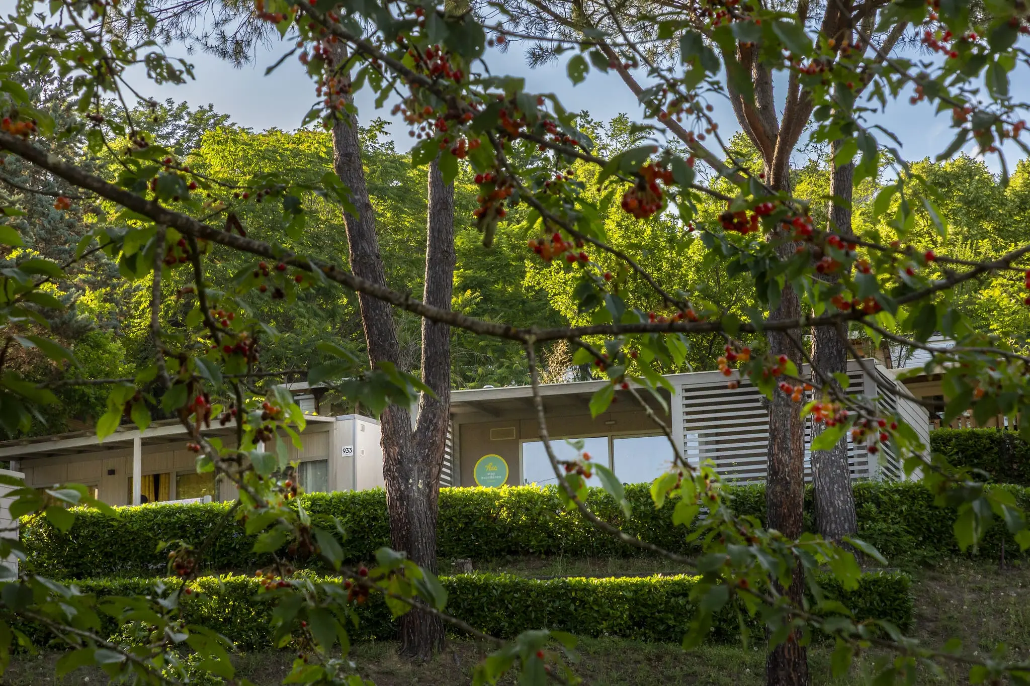 Mobile home with cherry trees