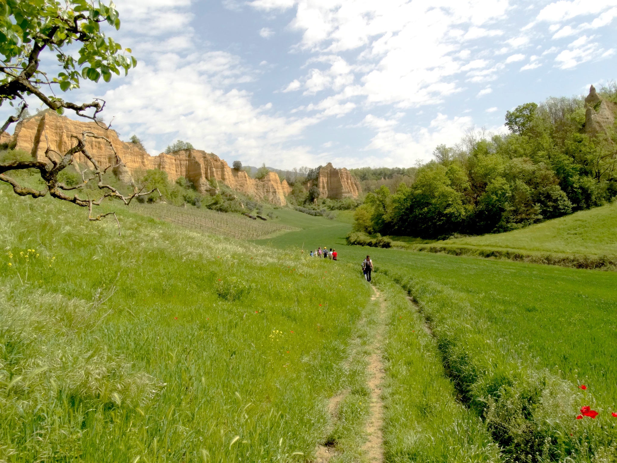 Sentiero di trekking alle Balze del Valdarno in Toscana