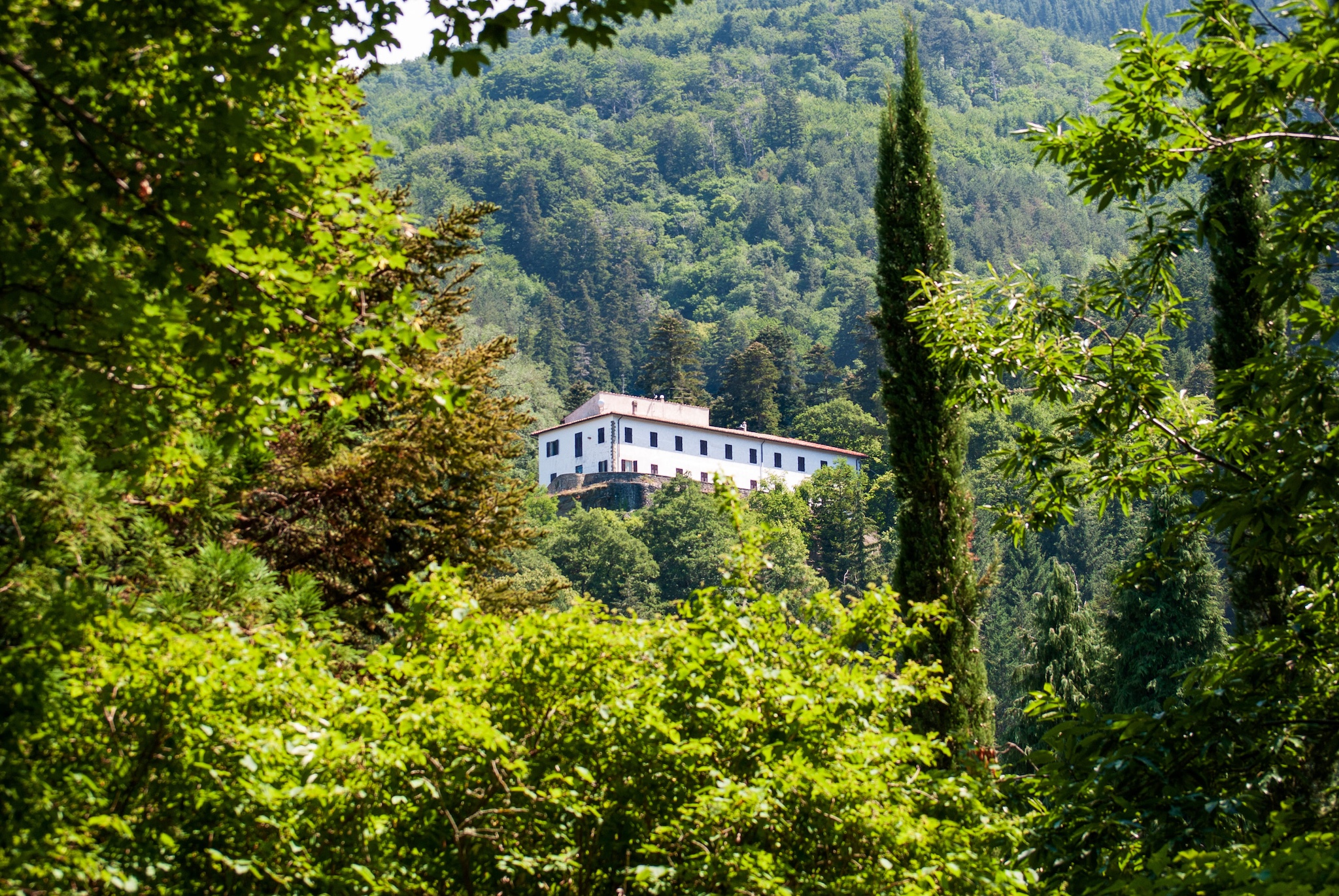 Strada che porta all'Abbazia di Vallombrosa tra i boschi