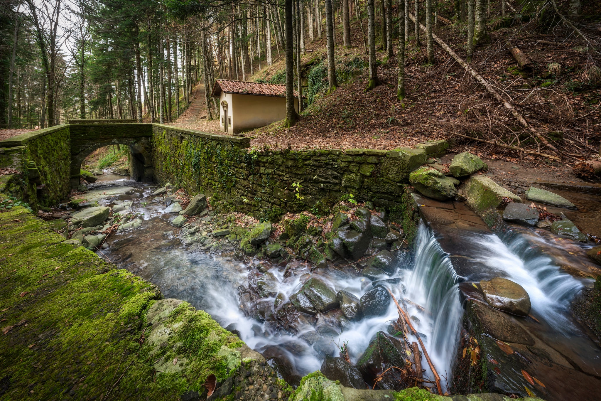 Percorso del circuito delle cappelle nella foresta di Vallombrosa