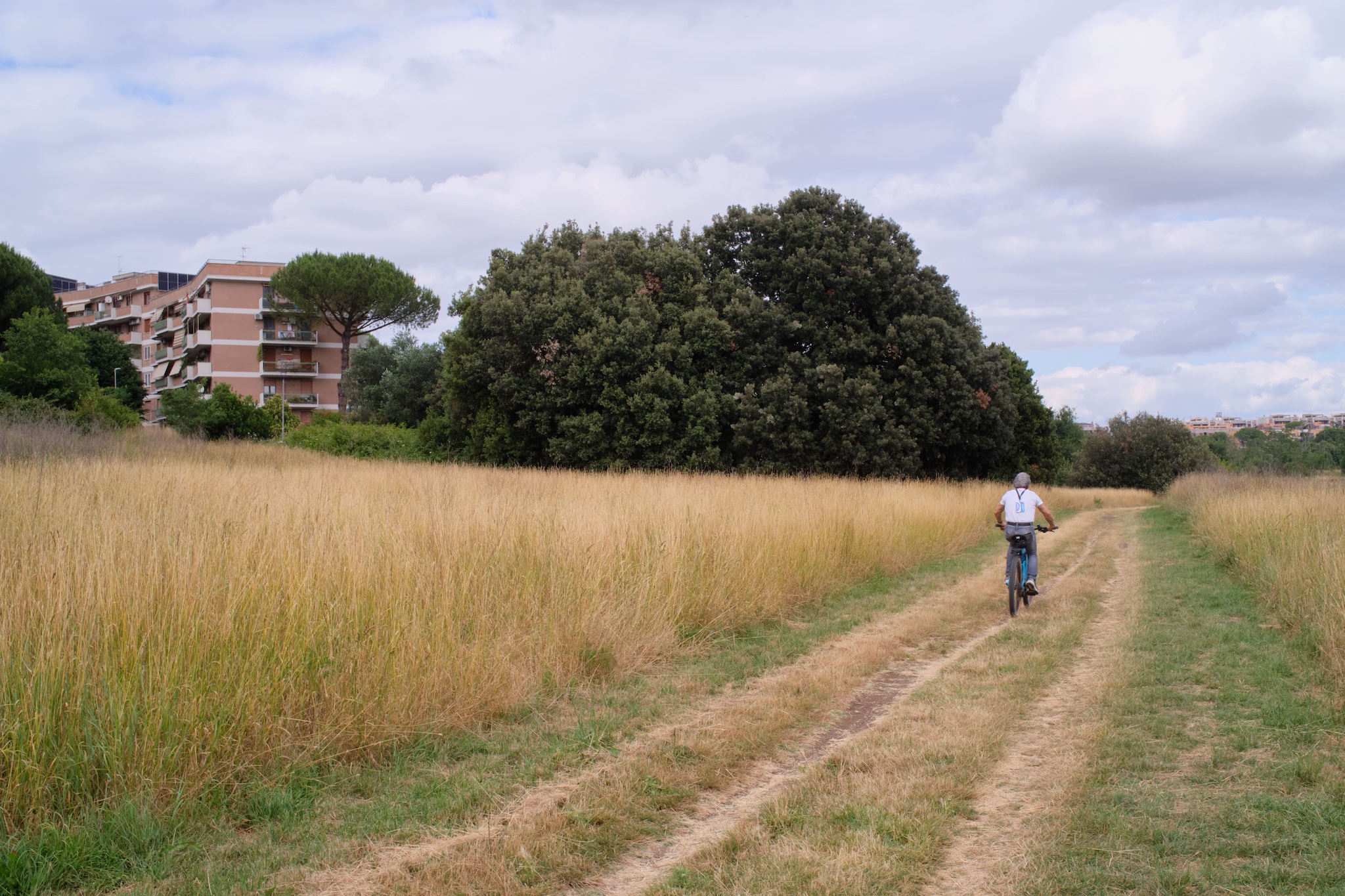 Parco Aniene Roma ciclabile natura biciclette