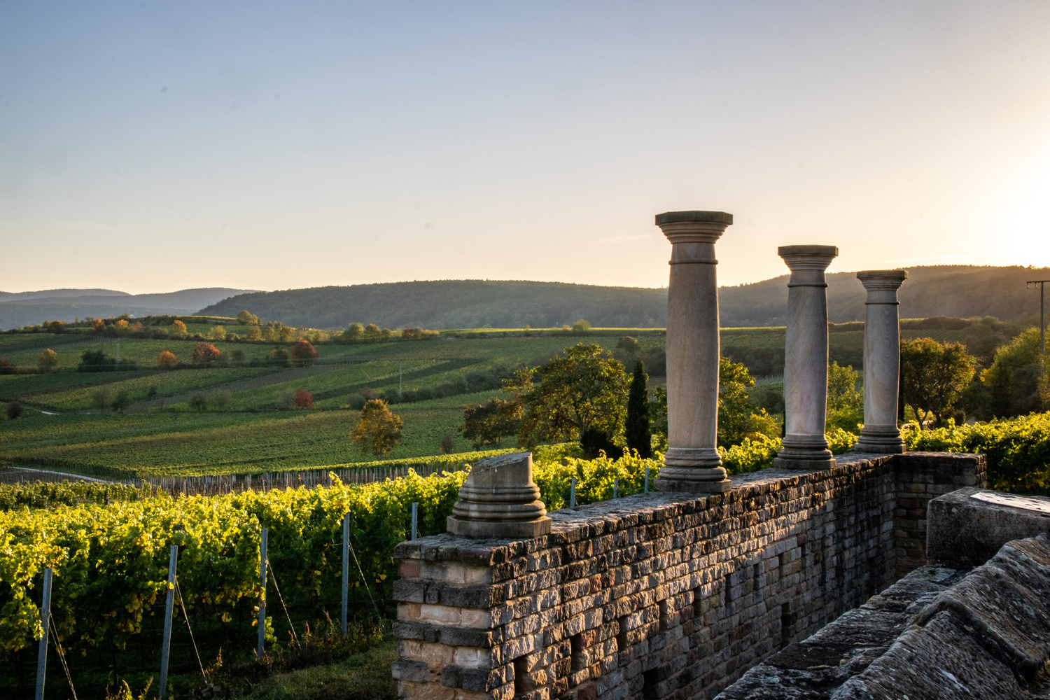 Vigneti DOC dei Castelli Romani tra le colline vulcaniche