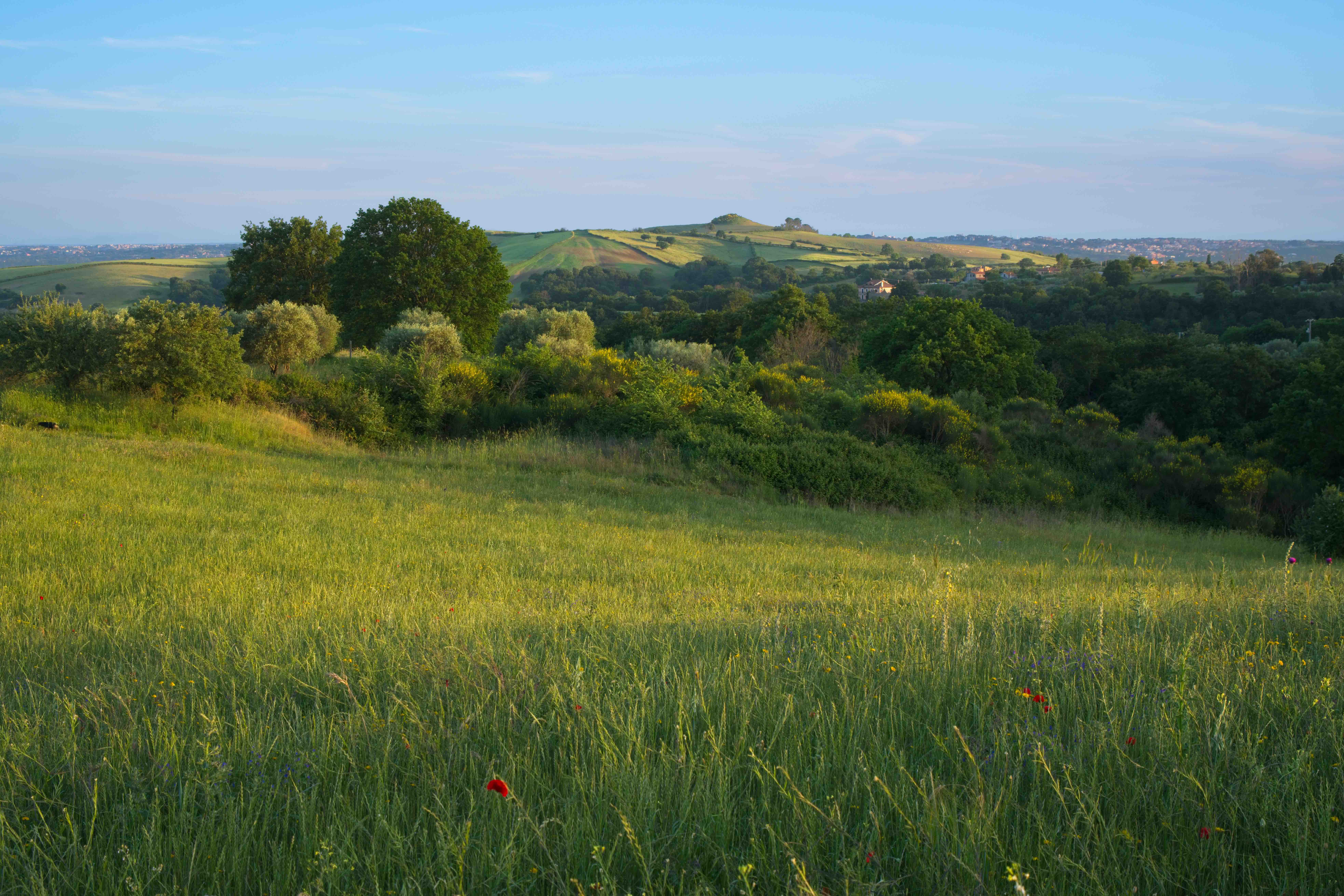 Panorama del Parco di Veio con vegetazione mediterranea
