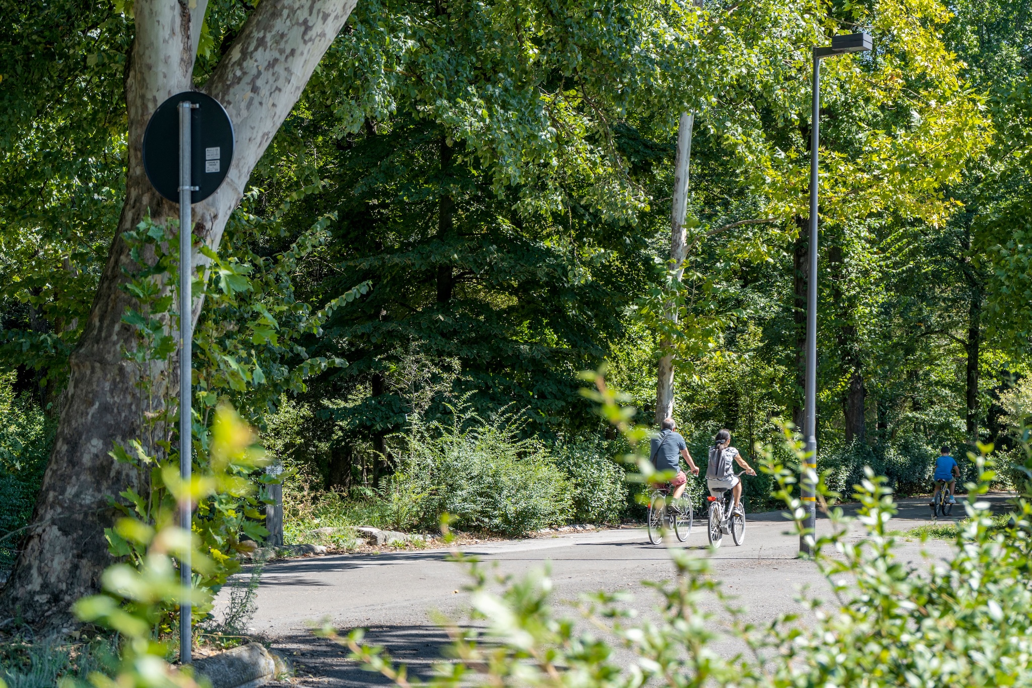 parco delle Cascine Firenze