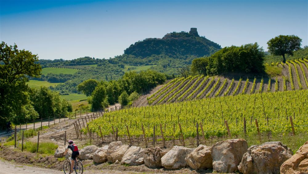 Vigneti nel Chianti per vacanze in famiglia in villaggio in bici