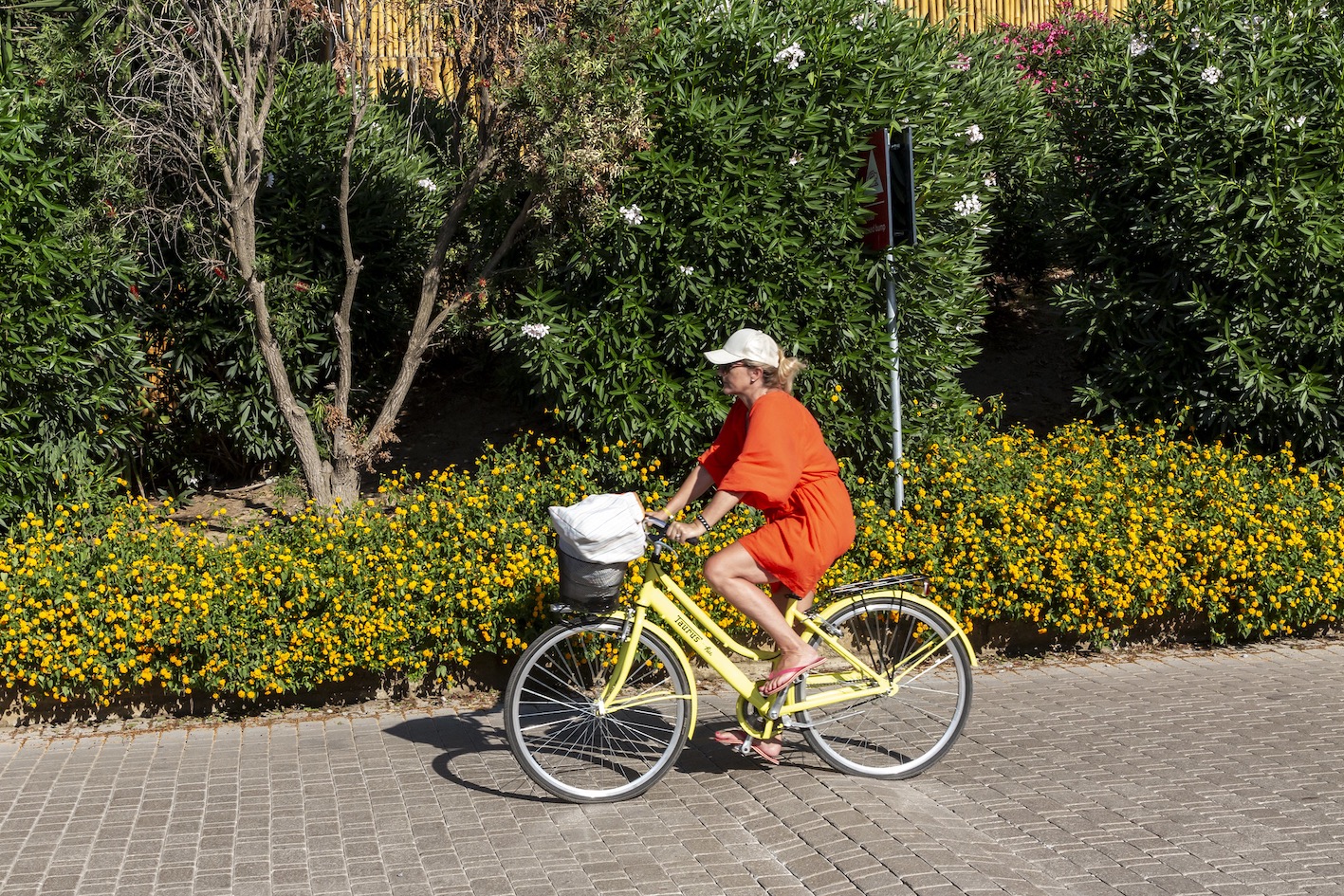 hu Park Albatros village | pedalare all'aria aperta