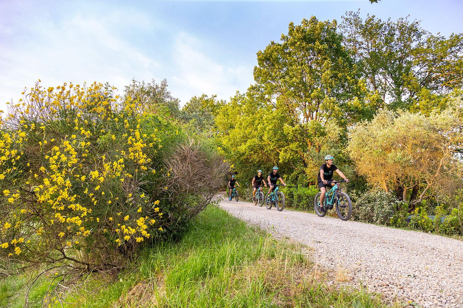 Percorsi ciclo turistici | Chianti