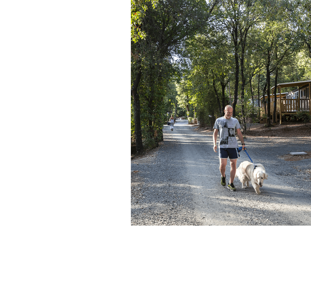 Campeggi dog friendly per famiglie