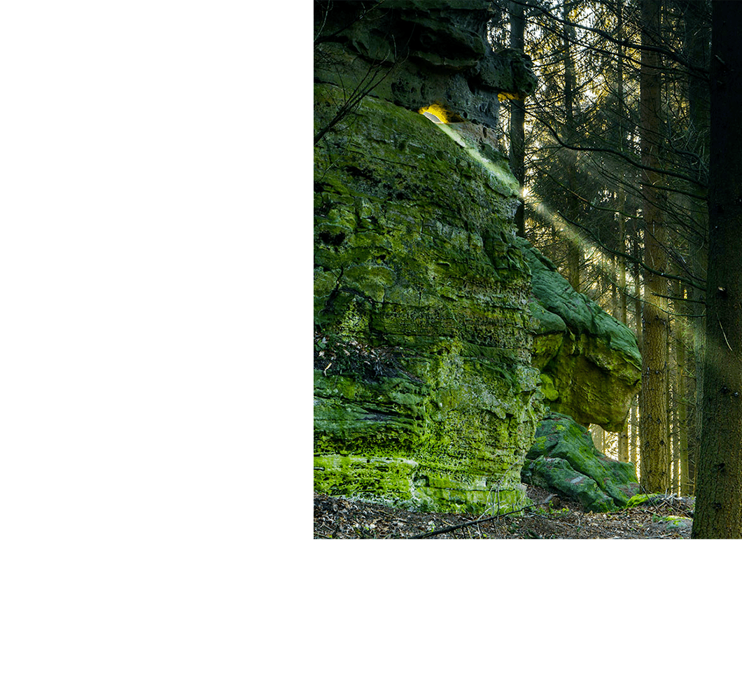 Natura