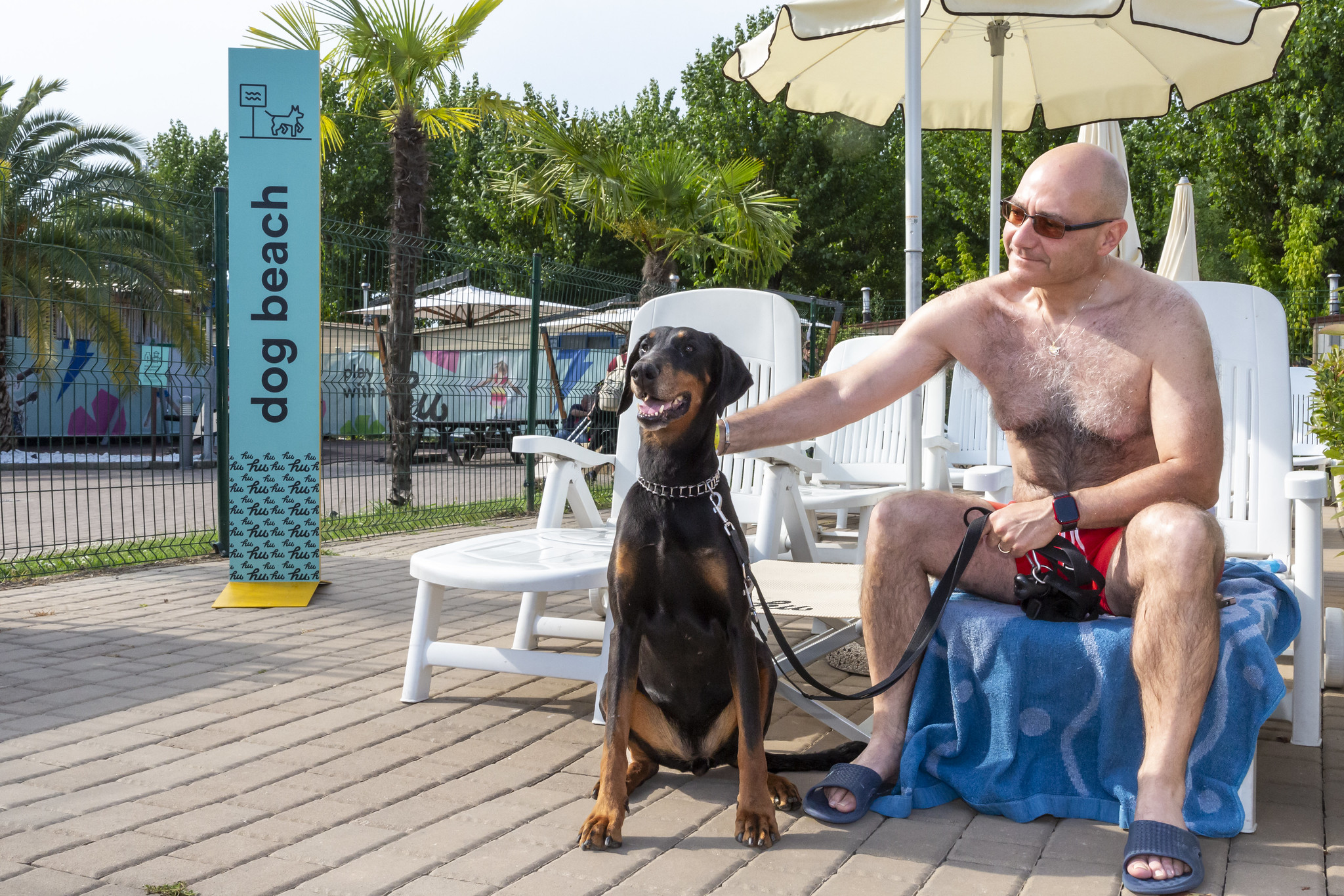 ve-dog-beach3.jpg_de _de