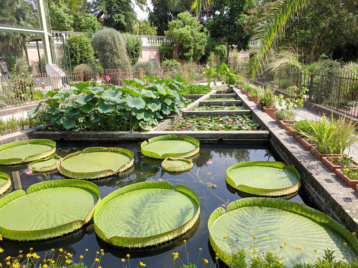 orto-botanico.jpeg_pl _pl