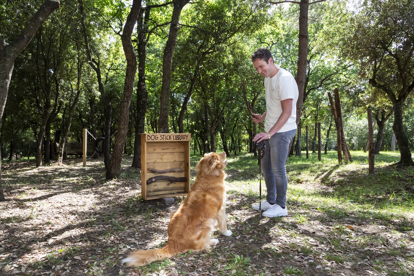 dog-park.jpg_de _de