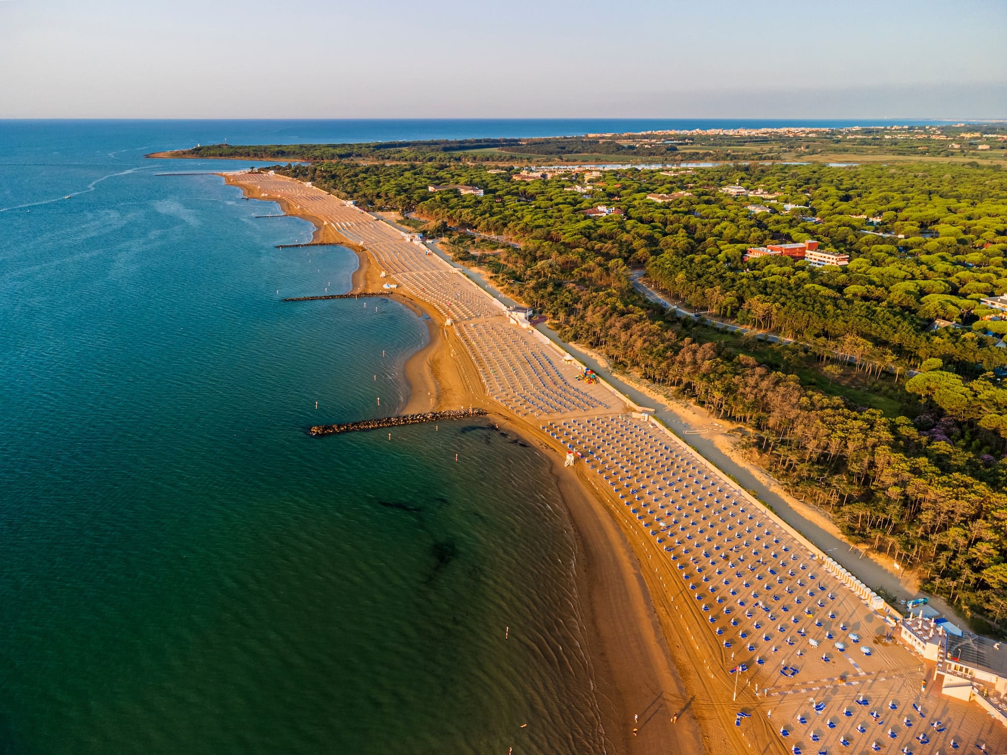 Pineta di Lignano: Der Wald durchzieht die gesamte Halbinsel
