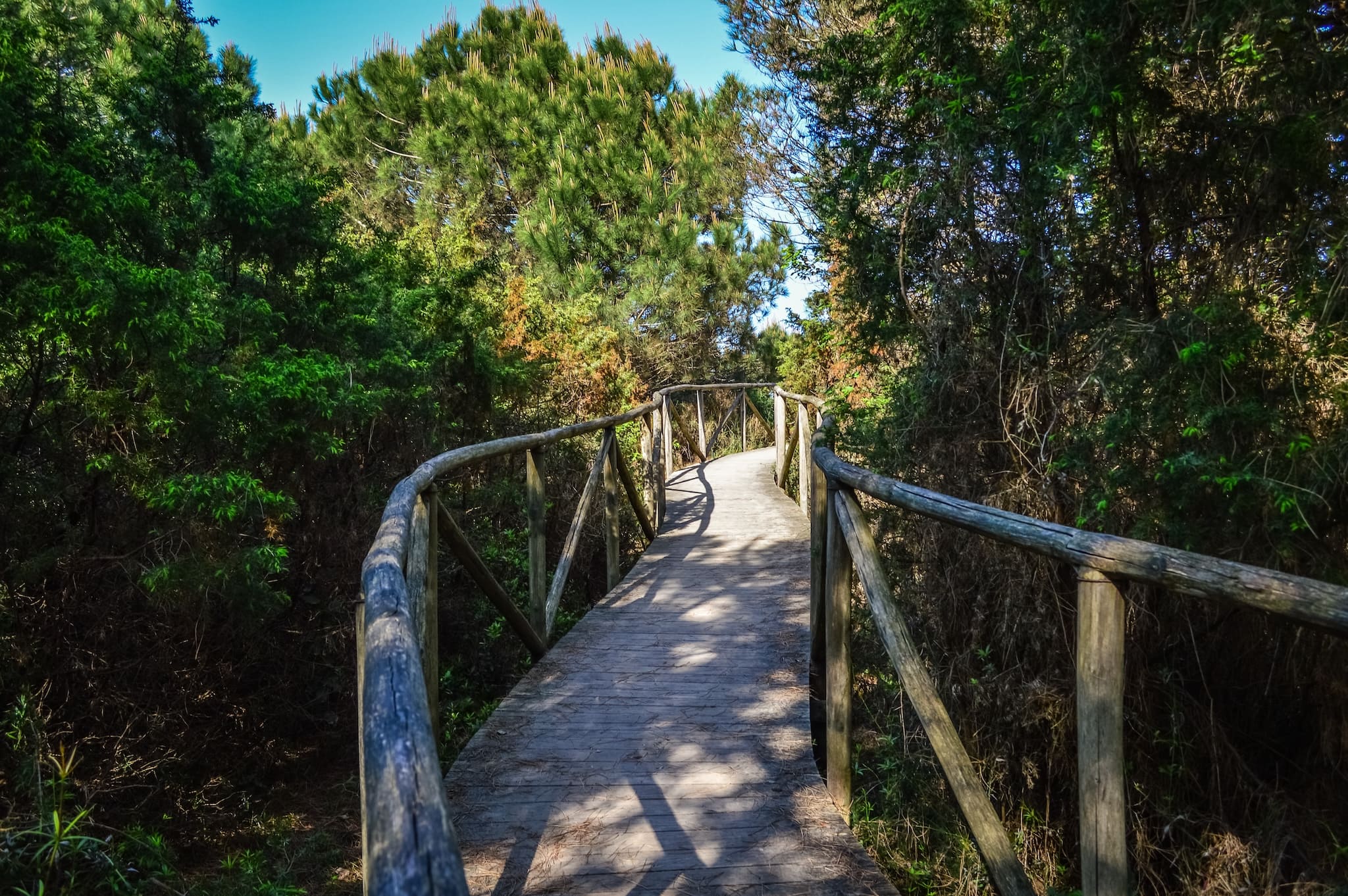 Botanischer Garten Porto Caleri in der Pineta di Rosolina Mare