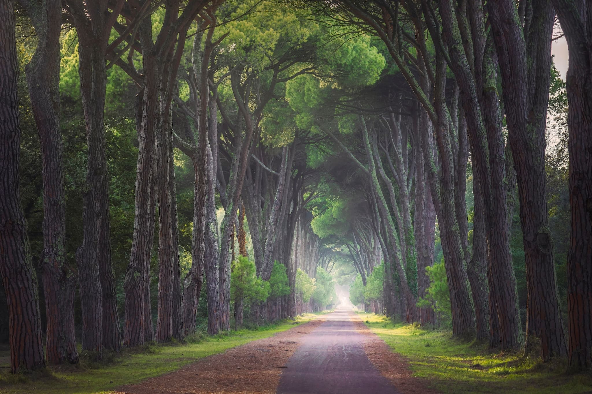Naturpark Migliarino-San Rossore-Massaciuccoli