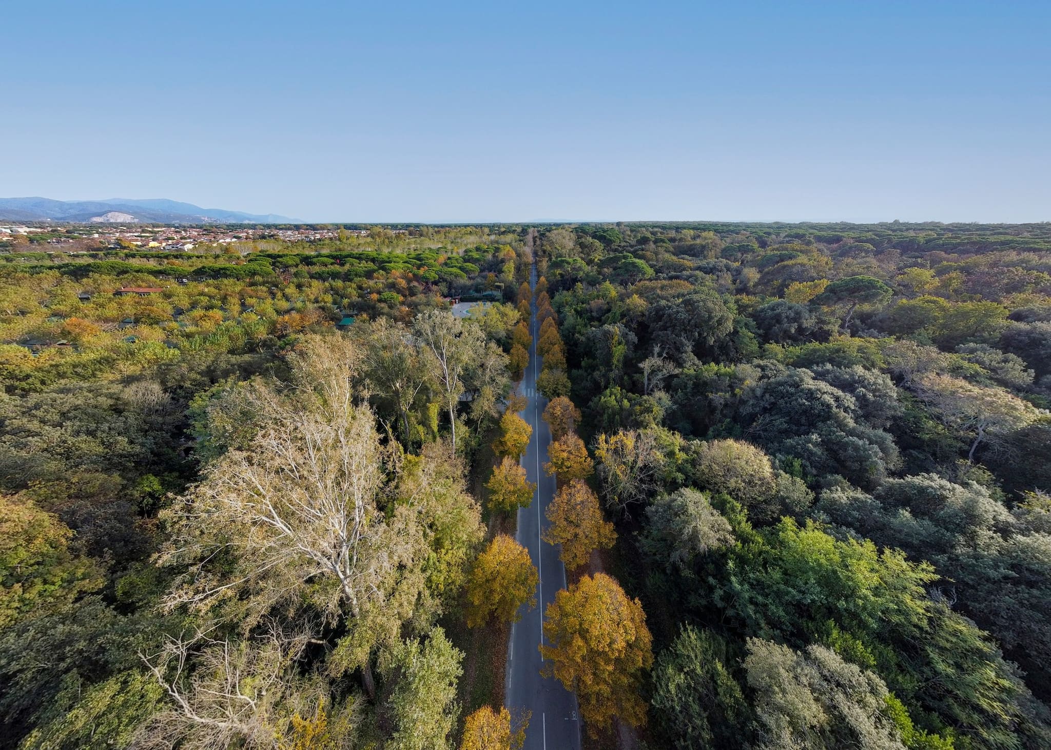 Die Pineta della Versilia mit Blick auf die Apuanischen Alpen