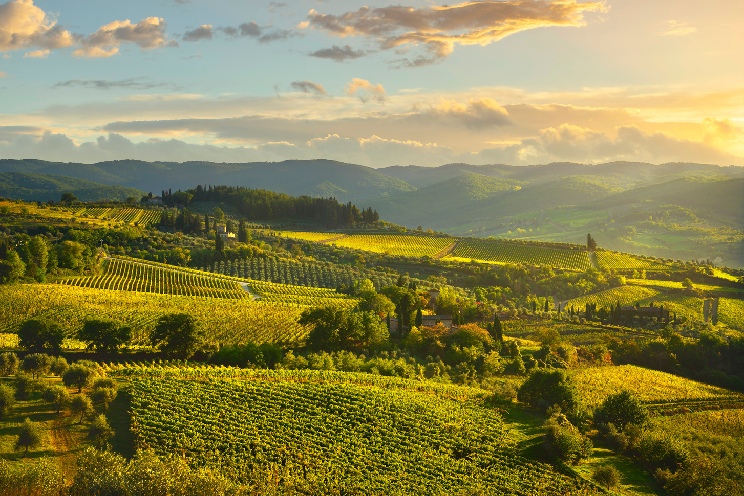 Colline del Chianti con borghi e vigneti nei dintorni di Castellina
