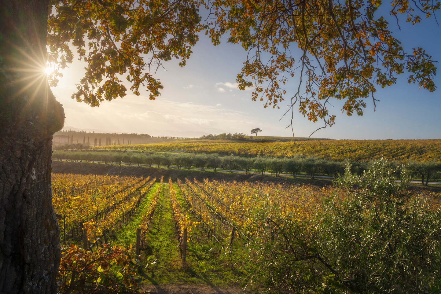 Come arrivare al Parco Sculture del Chianti in auto