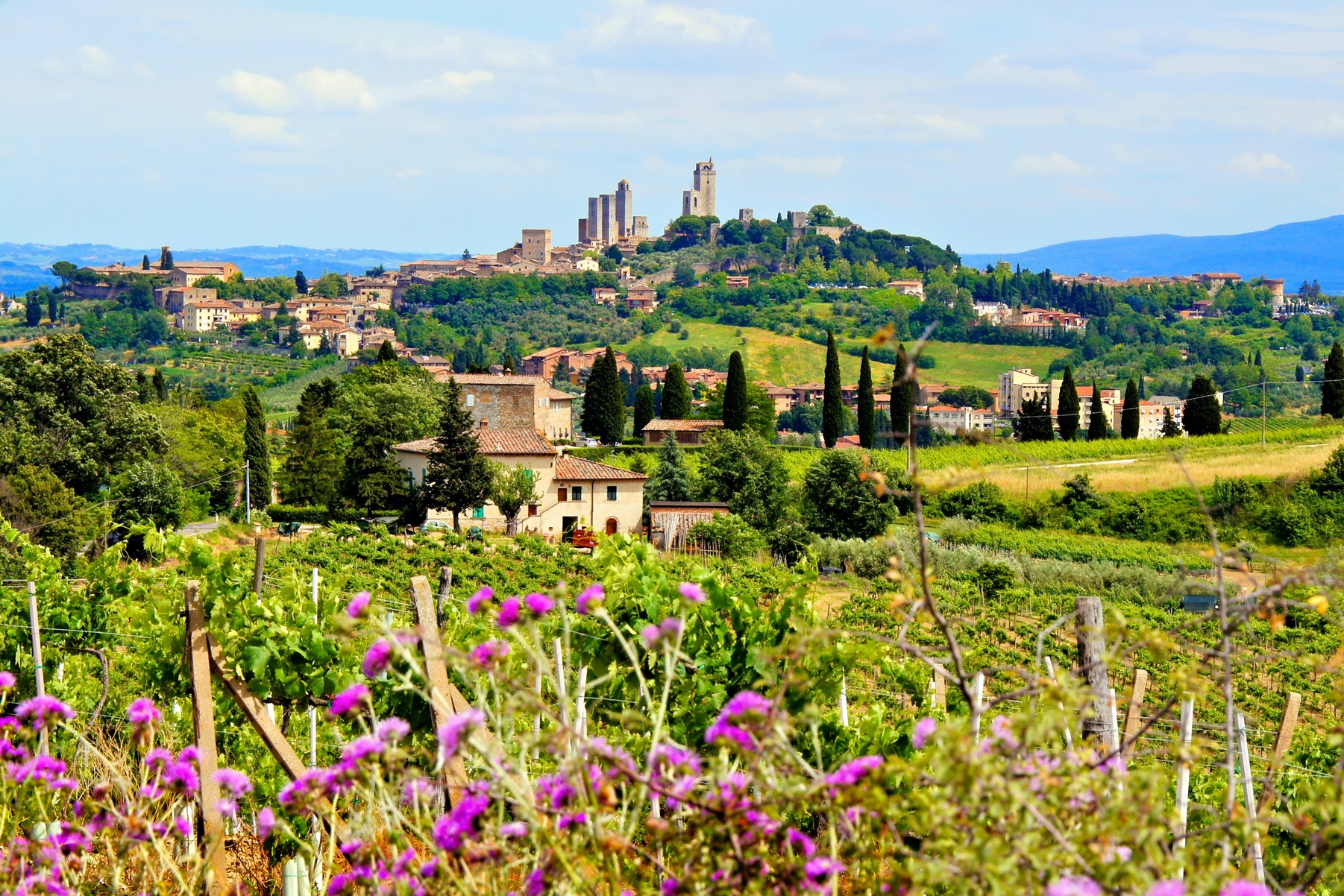 Colline del Chianti vicino a San Gimignano
