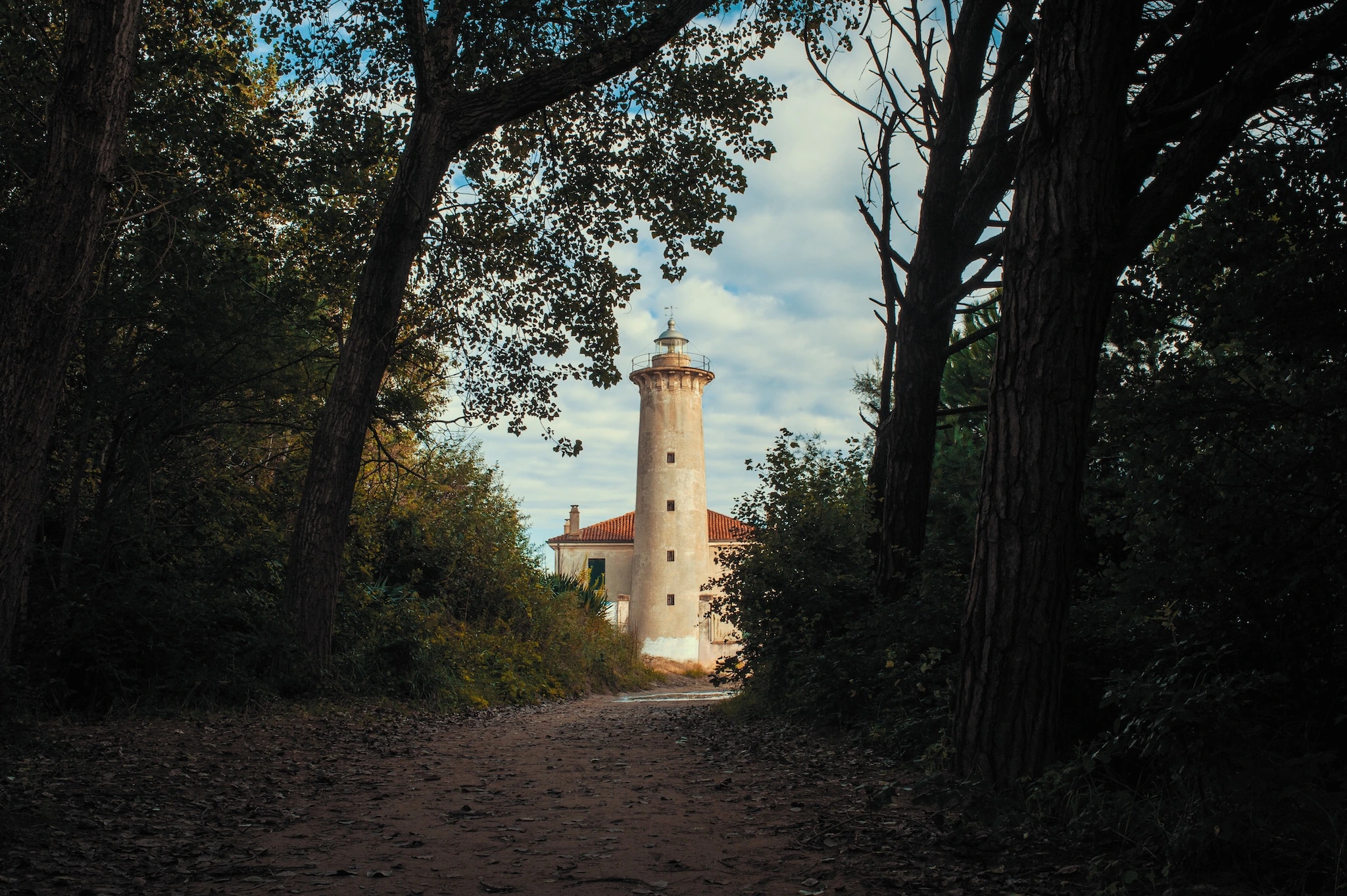 Pinienwald und Küstenlandschaft in Eraclea Mare