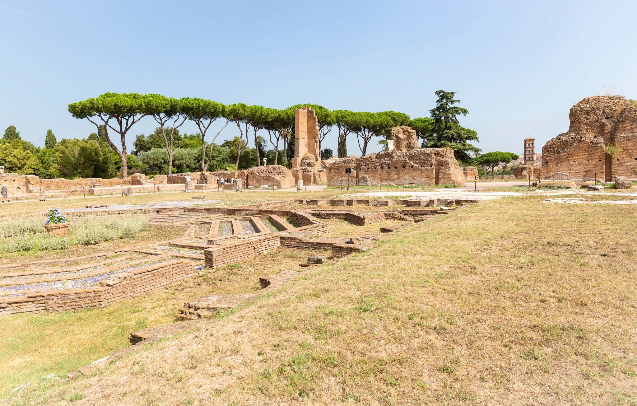 palatino rom kaiserpalast ruinen